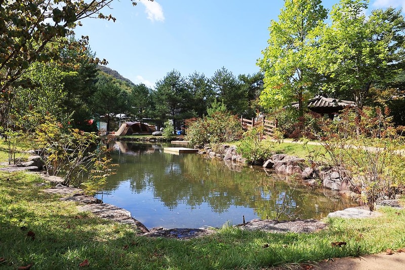 마의태자용소마을캠핑장 시설 사진 2