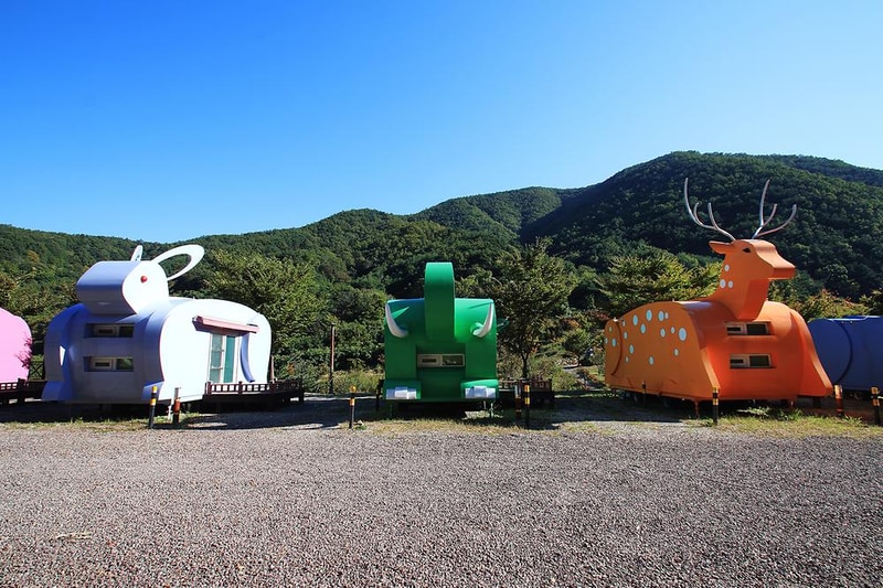 비학산자연휴양림 시설 사진 5