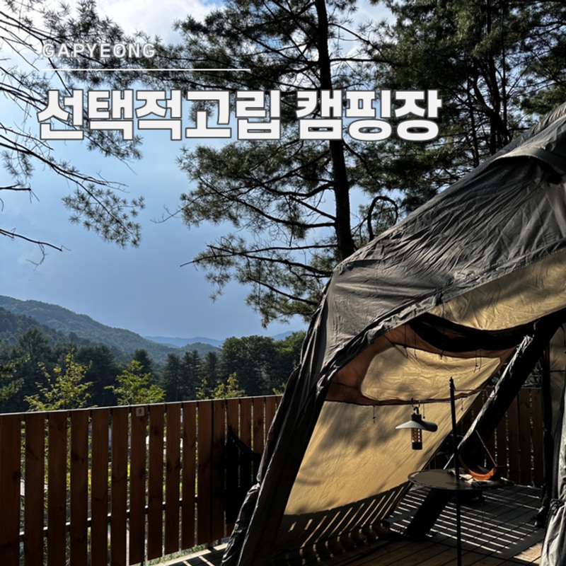 [경기 가평] 선택적고립 캠핑장 ｜B사이트 이용 후기 ｜크루존...