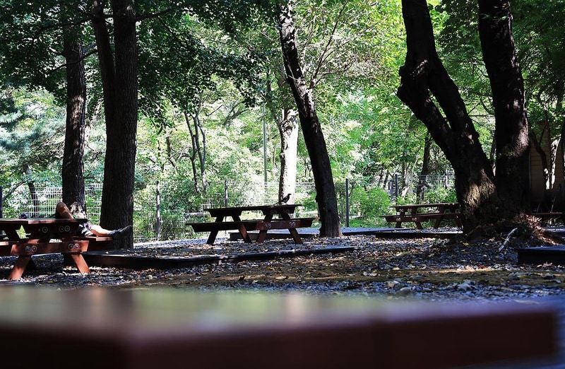 관악산 계곡 캠핑장 시설 사진 11