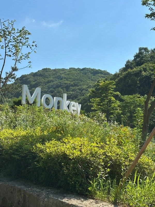 대전근교에 있는 천안글램핑 몽키캠핑장 방문후기