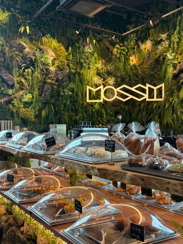 양주 캠핑컨셉 대형카페- 모씨 (MOSSY)