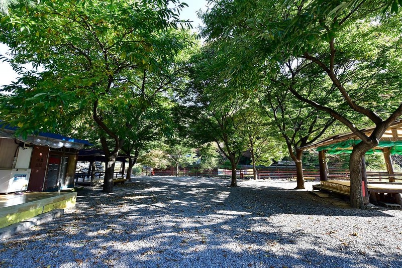 금다래캠핑장 시설 사진 2