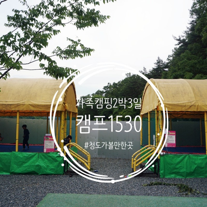 청도 캠프1530, 아이 동반 가족 캠핑의 모든 것 (장단점 포함)