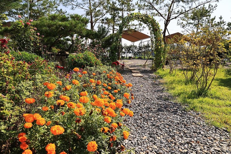 솔밭사이로 캠핑&펜션 시설 사진 3