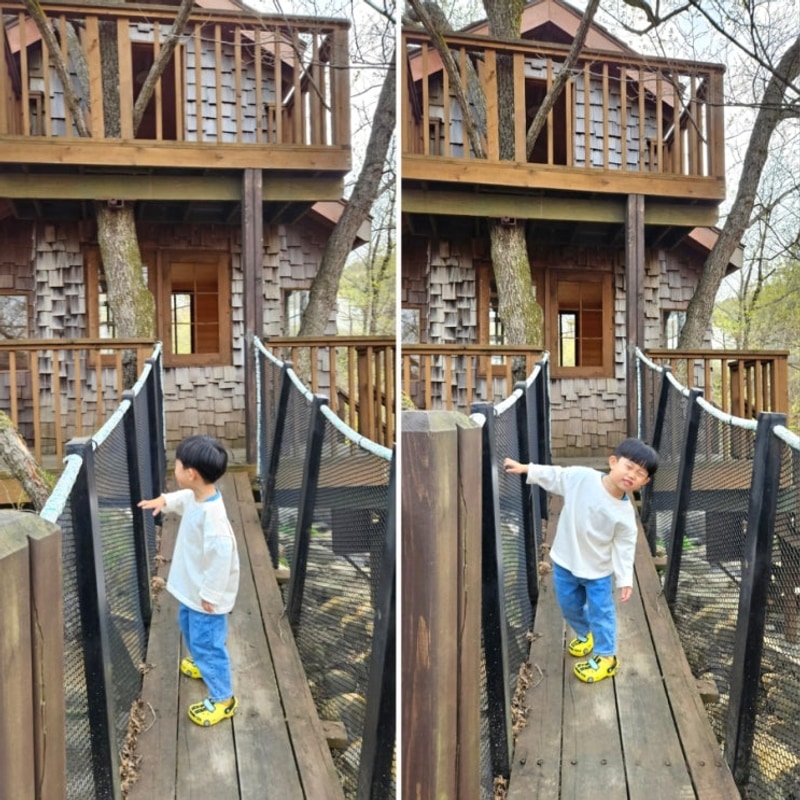 합천 황매산오토캠핑장 멋진 숲속야영장 D 사이트