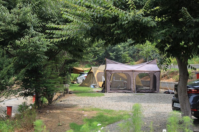 고래숲관광농원 시설 사진 11