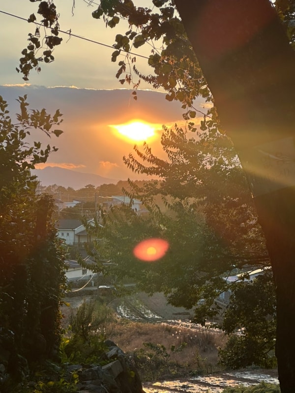 남해 감성캠핑장, 버드하우스 캠핑장