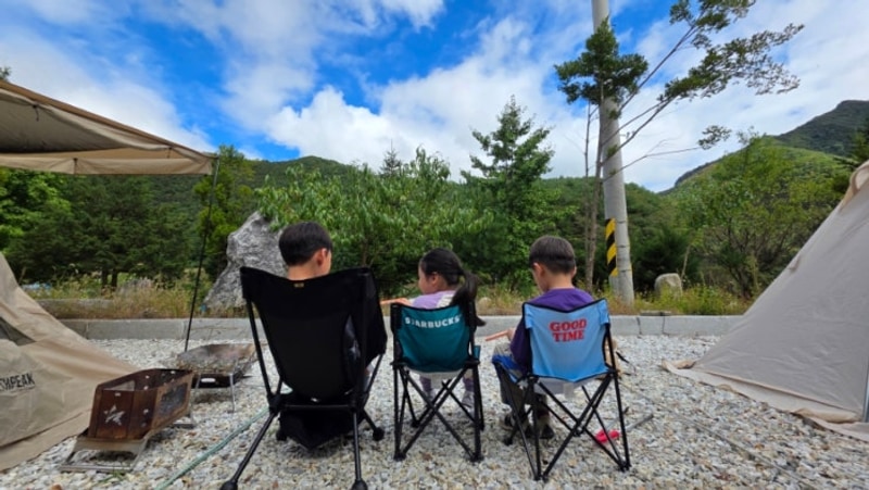 강원도 정선 파인트리 캠핑장