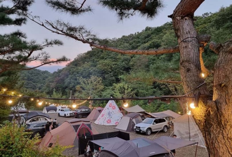 숲속계곡캠핑장 자연속 힐링이 필요할때 경주 남양 라라캠핑장...