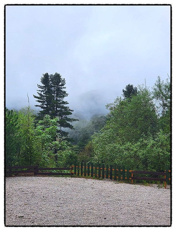 [#캠핑기록2] 가족 캠핑 포천 아롱별캠핑장 - 아롱B 타프존 사이트