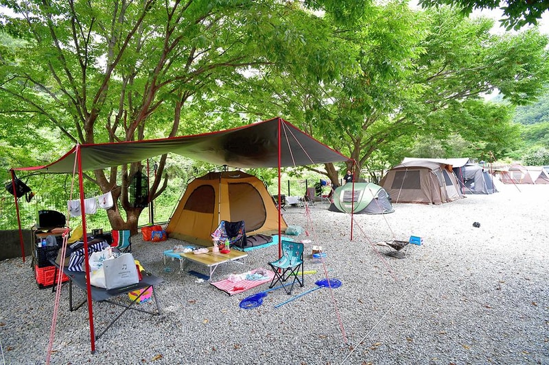 마노아워터캠핑장 시설 사진 8
