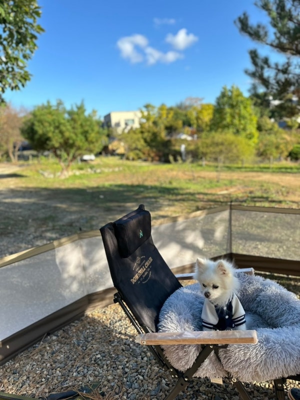 24년 가을 캠핑 (스톤힐글램핑/캠핑)