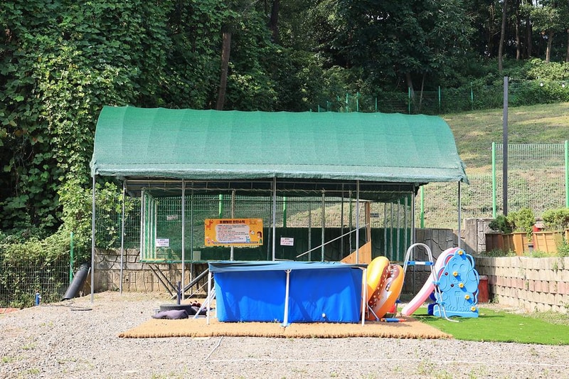 한코관광농원야영장 시설 사진 6