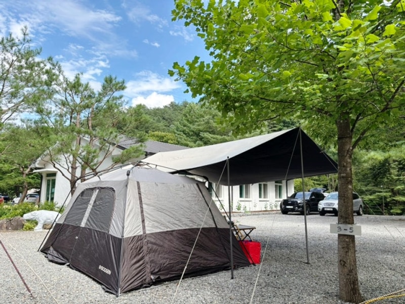 영월 캠핑장 두산분교캠핑장 사이트 명당 계곡 총정리