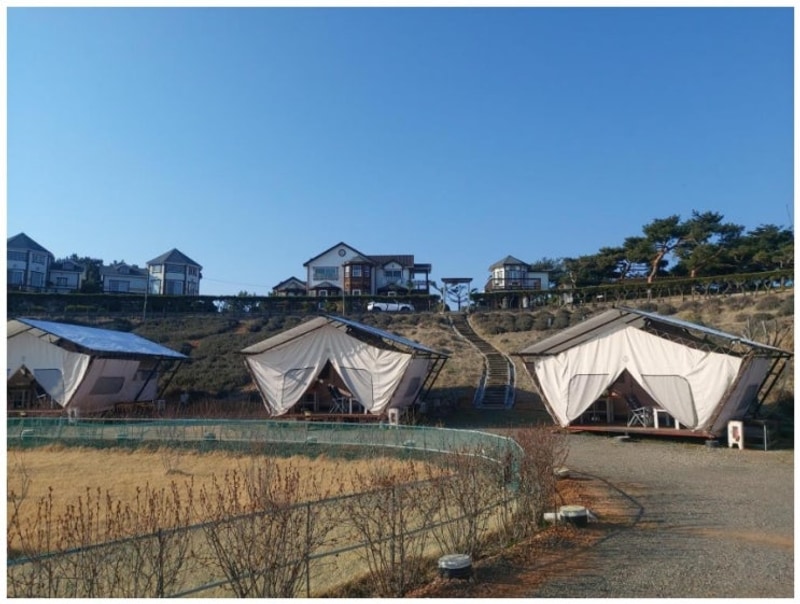 바다 전망이 인상적인 태안캠핑 태안 안면도 비비애견동반캠핑장