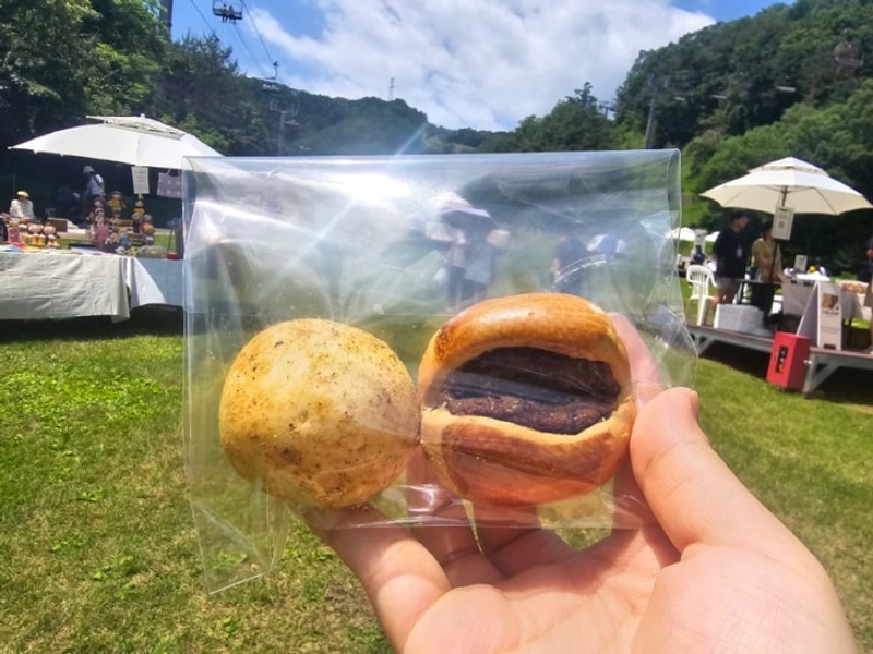 춘천숲속빵시장 2025 실망한 후기-엘리시안 강촌 캠핑파크