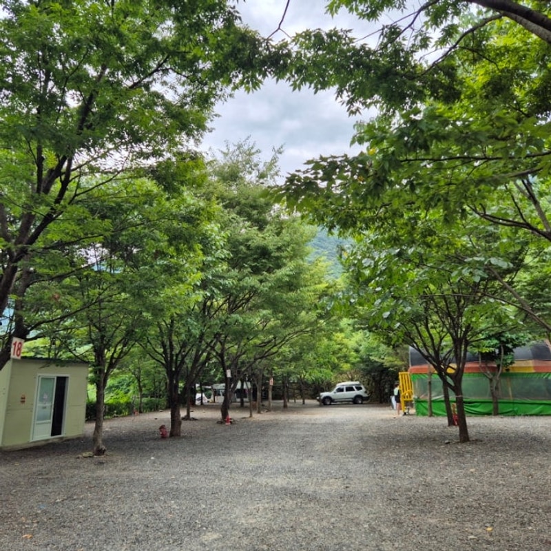 밀양 계곡 여름 캠핑 얼음골 까투리 펜션&캠핑장