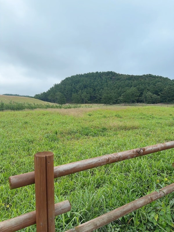 [예둥이 여행일기]아이들과의 캠핑 - 태안 신두리 오렌지캠핑장