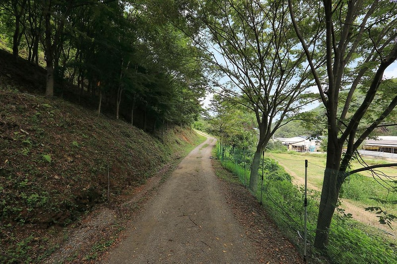 트리독스 애견전용캠핑장 시설 사진 4