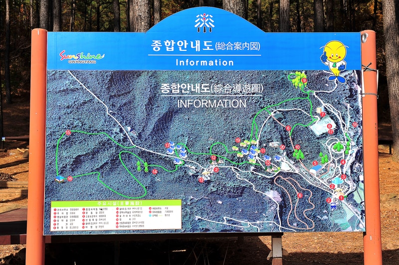 백운산 자연휴양림 자동차야영장 배치도 1