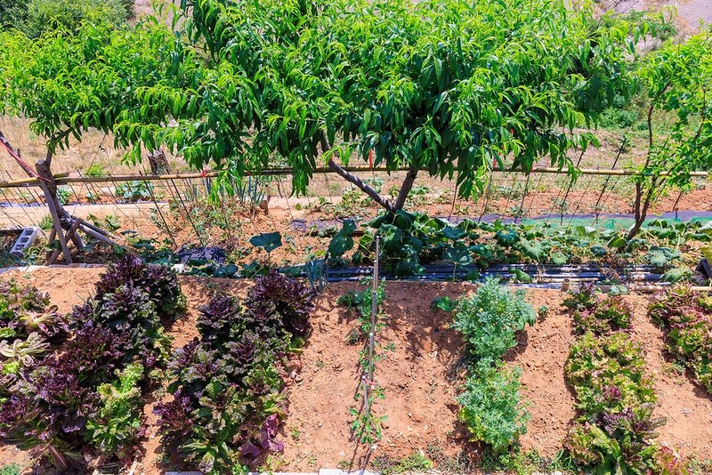 합천호 문워크 카라반 캠핑 시설 사진 18