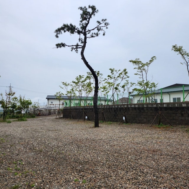 석병관광농원 야영장 대표 사진