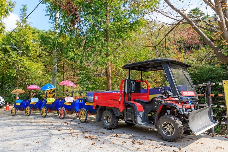 심천치유자연휴양림야영장 시설 사진 10