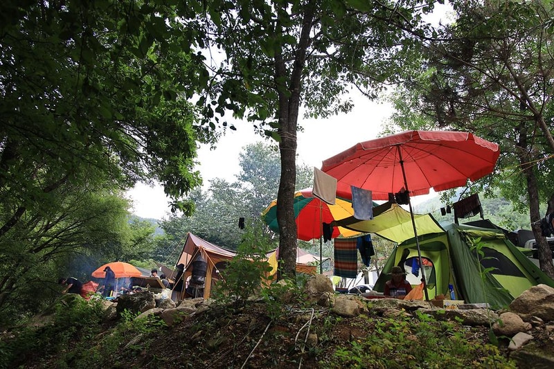 백년펜션 야영장 시설 사진 2