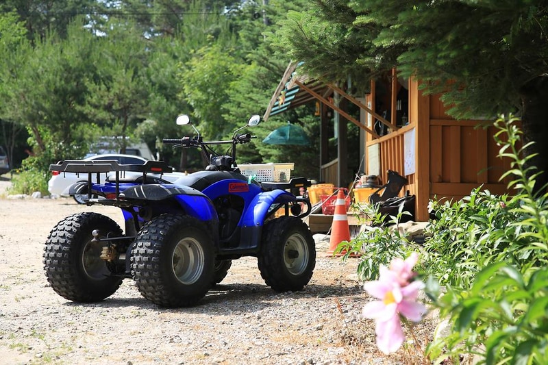 용골송어와 캠핑 시설 사진 9