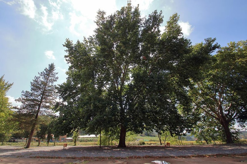 속리산사나래캠핑장 시설 사진 14
