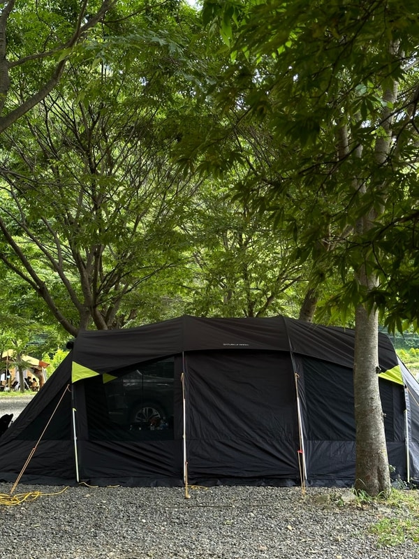 [경북 경주] 아이랑 캠핑 경주 산내면 청석들 캠핑장