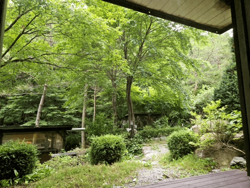 강원도 정선 계곡펜션 정선 도원펜션&캠핑장