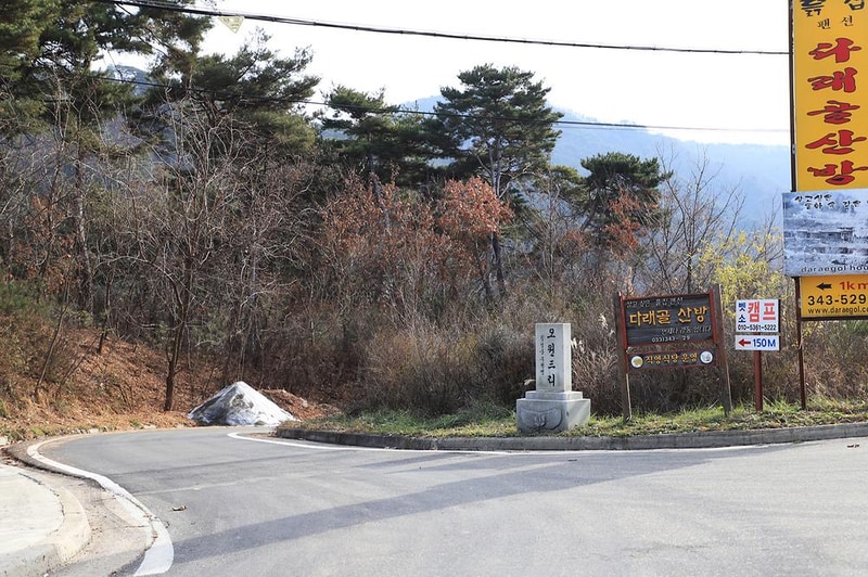 벳소캠프 시설 사진 8