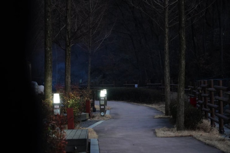 초여름 같았던 짧은 하루, 수성구 진밭골야영장