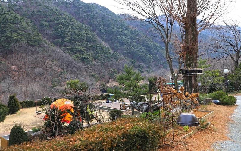 벳소캠프 시설 사진 4