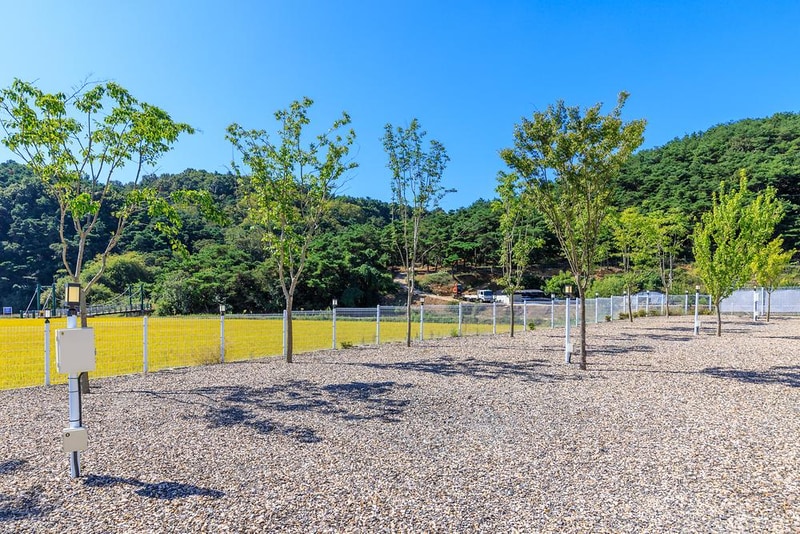 달문관광 농원 시설 사진 7