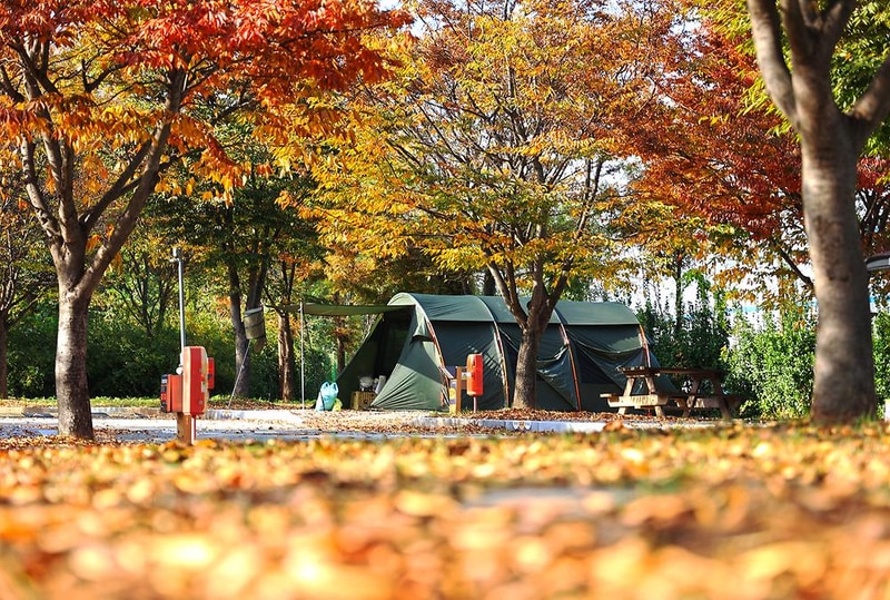 안성맞춤 캠핑장 시설 사진 3