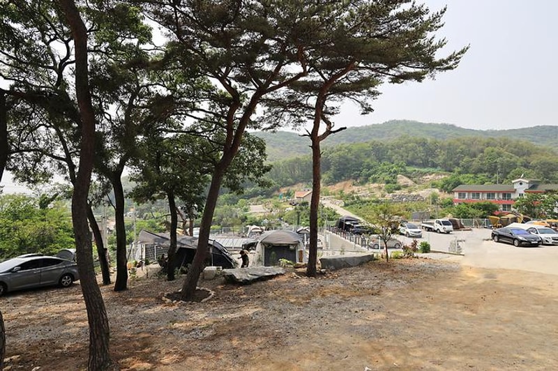 원스캠핑장 대표 사진