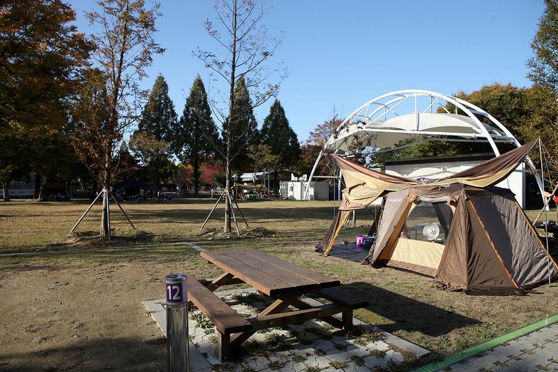 공릉관광지 캠핑장 시설 사진 10