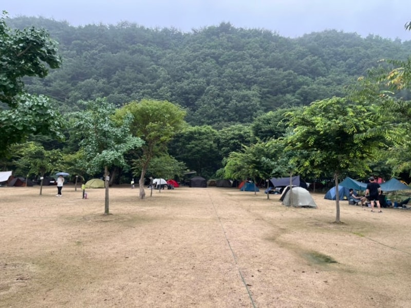 [포천 가볼만한 곳] 숲속도마치계곡캠핑장ㅣ서울 2시간 이내...