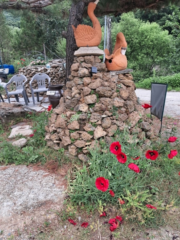 아미골캠핑장 야생초마을 아미골의 6월꽃