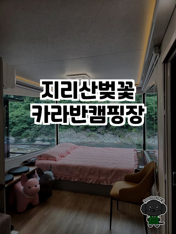 지리산벚꽃카라반캠핑장에서의 힐링 캠프 후기