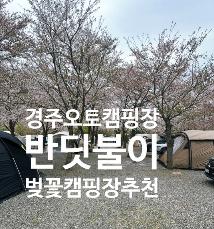 경주오토캠핑장 아이와 함께오기좋은 반딧불이캠핑장 명당자리
