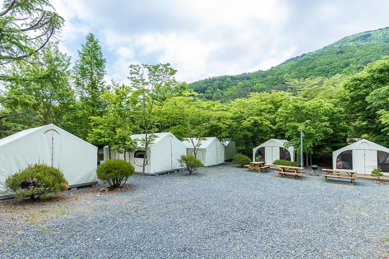 노꼬담꼬 시설 사진 15