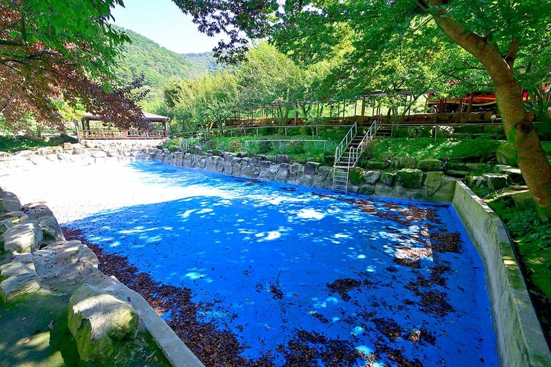 자두마을 시설 사진 15