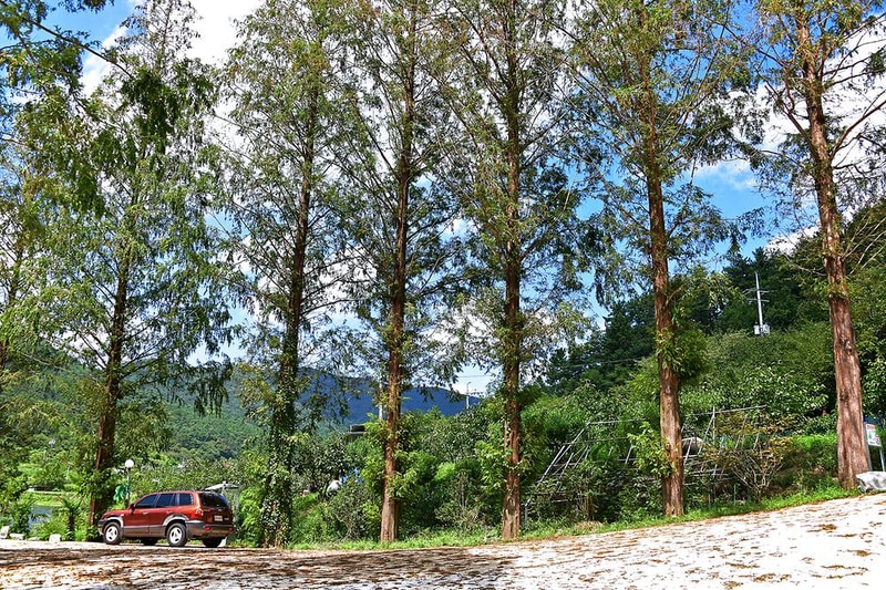 나주 글램핑 어스 시설 사진 15