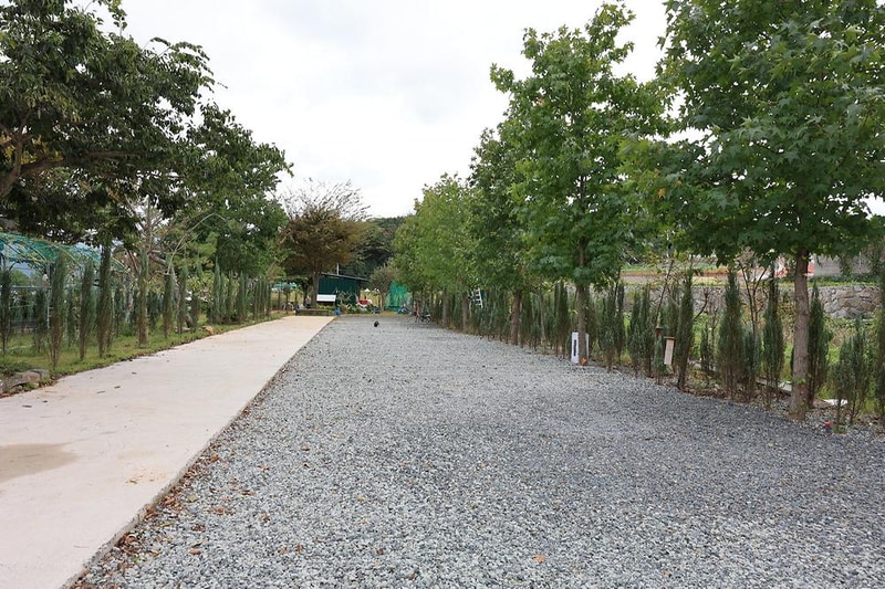 사천 씨씨 카라반 캠핑 시설 사진 9