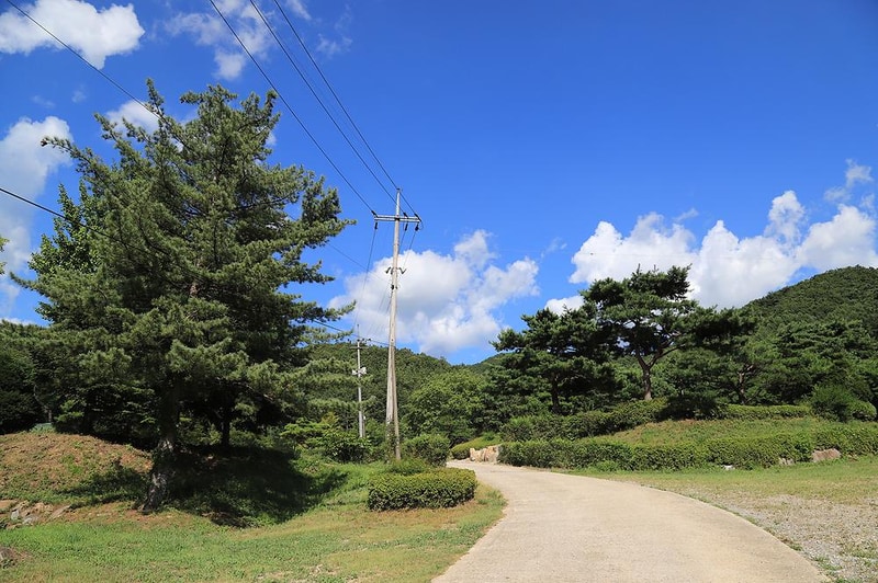 숲속의야영장 시설 사진 26