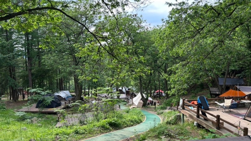 용인자연휴양림 캠핑장(12번데크) 후기
